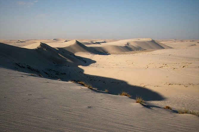 Desert safari, Dune bashing, sandboarding, camel, ATV Option - Safety, Insurance, and Small Details That Matter