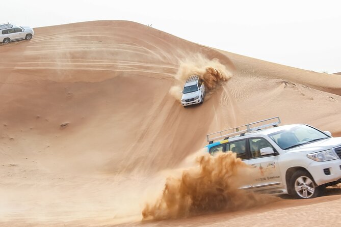 Desert Safari Experience with Dune Bashing and Dinner in Dubai - Camel Farm Stop and Falcon Show: Culture Without the Fluff