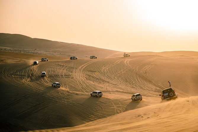 Desert Safari + History to Modern City Tour - Sealine Beach Start and the Camel Stop You Can Skip (If You Want)