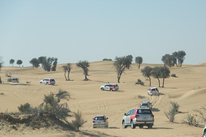 Desert Safari in Dubai with full package - no hidden cost - What You’re Paying for in This Desert Safari Dubai Package