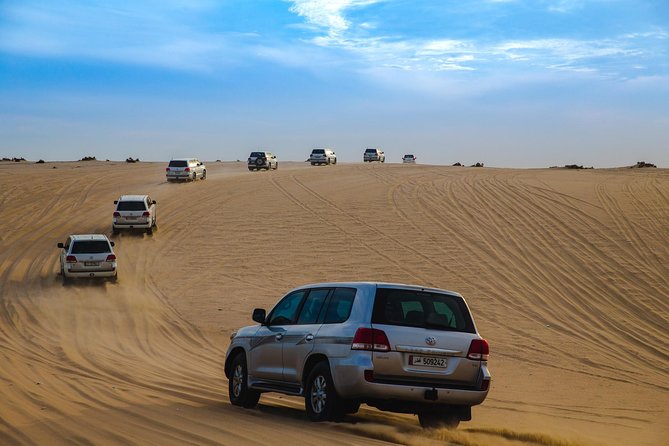 Desert Safari & Keshta | (Private) - Sealine Beach Camel Stop: Camels, Falcon Photos, and a Real Break