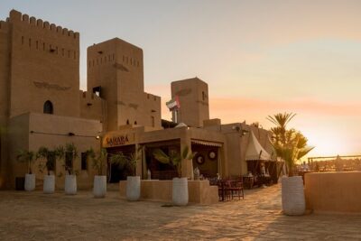 Desert Safari: Luxury Fortress Dinner, Camel Ride & Dune Bashing - Dubai Desert Conservation Reserve: The 4x4 Dune Bash Portion
