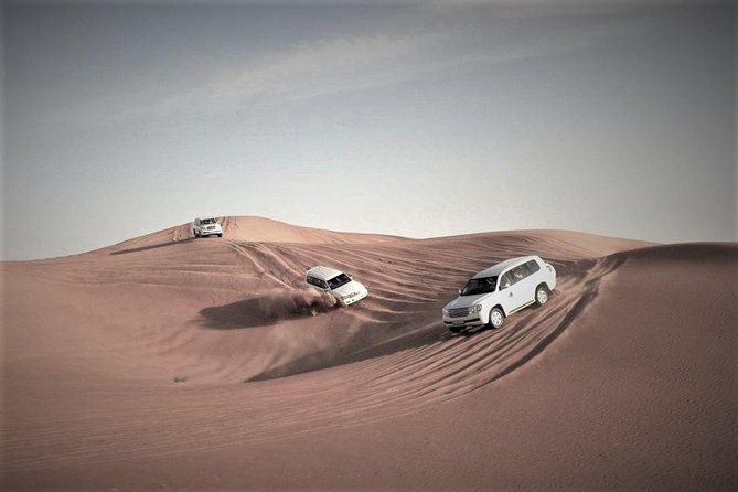 Desert Safari – Morning, Afternoon, Sunrise & Sunset Options - Morning, afternoon, sunrise, or sunset in Doha: pick your vibe