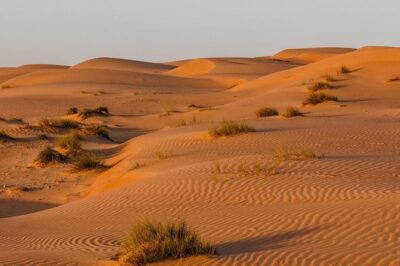Desert Safari Private - Wadi Bani Khalid Pools: Year-Round Water in Rocky Boulders
