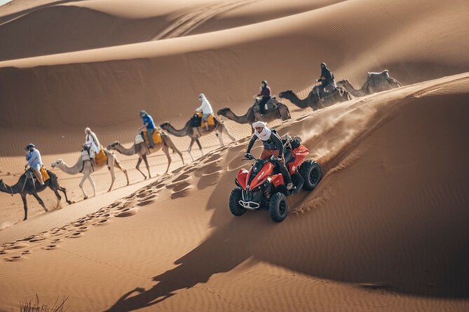 Desert Safari Qatar - What’s Included in the $85 Per Person—and What You’ll Need to Plan For