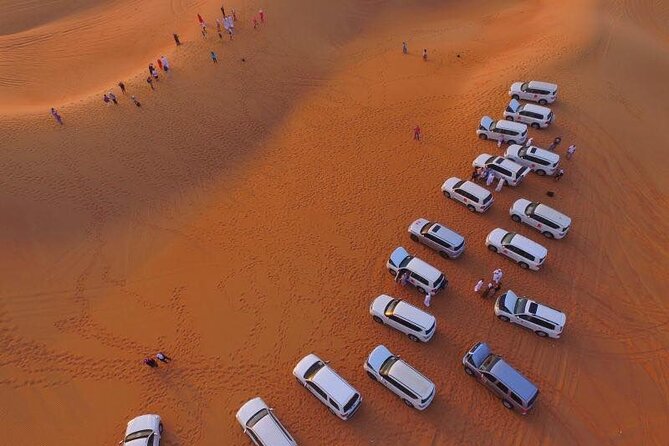 Desert Safari Qatar - Group Size, Comfort, and a Realistic 4-Hour Schedule