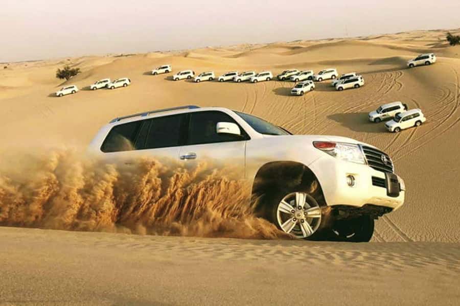 Desert Safari, Quad Bike, Camel Ride, Falcon & Sandboarding - Key highlights worth your time