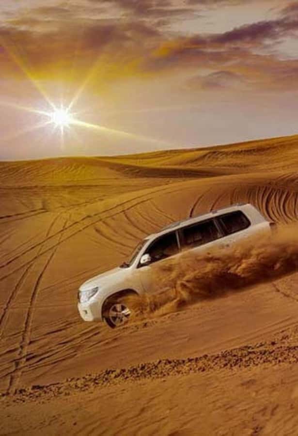Desert Safari, Quad Bike, Camel Ride, Falcon & Sandboarding - Sandboarding from the highest dunes: quick fun, manage your expectations
