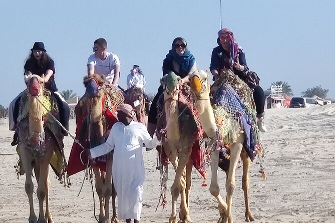 Desert Safari, Quad Bike, Sandboarding and Camel Ride - Sealine Beach: Quad Bike on a Track and Camel Ride on Qatar Time