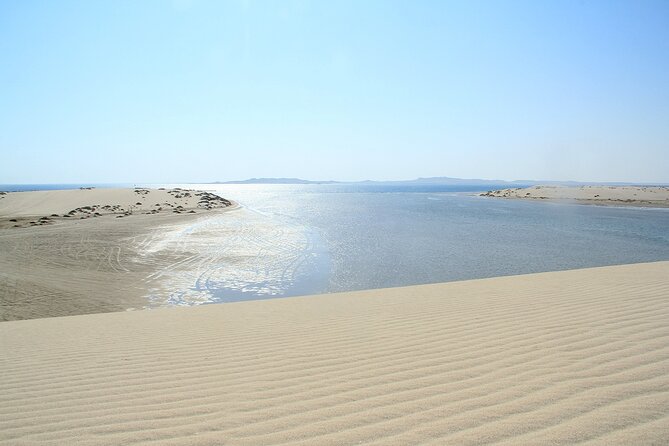 Desert Safari, Quad Bike, Sandboarding and Camel Ride - Sandboarding: The Best Way to Play Without Needing Board-Skills
