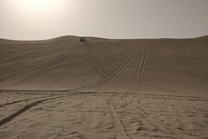 Desert Safari, Quad Bike, Sandboarding and Camel Ride - Mesaieed to the Dunes: How the Timing Works for a Half-Day Safari