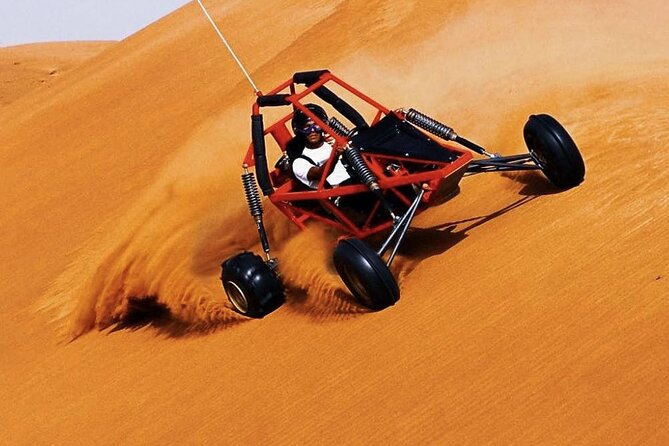 Desert Safari Tour, 6 Hour Fun, Family & Friends, Camel Ride & Dinner Included - Who This Tour Fits Best (and Who Should Think Twice)