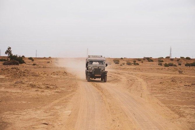 Desert Safari Tour Package - Should You Book This Jaisalmer Desert Safari?