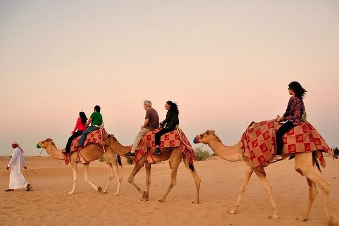 Desert Safari Tour with 30 Minutes Quad bike Ride - FAQ