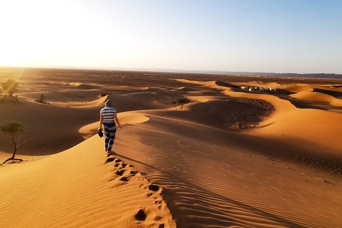 Desert Safari With BBQ Dinner, Quad Ride And And Sand-boarding - Small Tips to Make Your Safari Day Go Smooth
