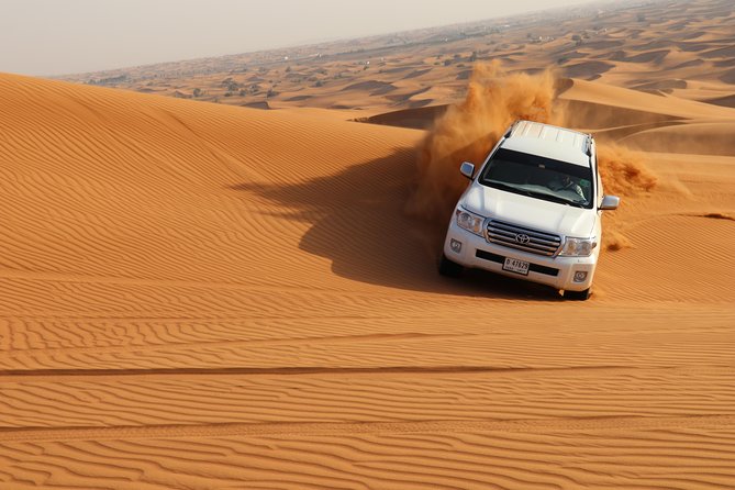 Desert Safari with BBQ Dinner (Sharing/Private) - The Guide Factor: Why Names Like Ali and Anis Keep Coming Up