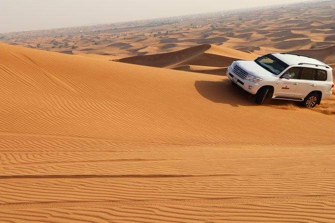 Desert Safari with BBQ Dinner (Sharing/Private) - Price and Value: Is $59 Per Person Worth It?
