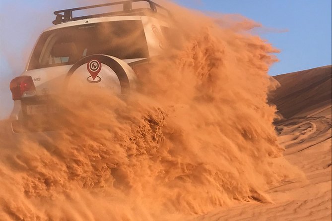 Desert Safari with BBQ Dinner - UAE Must Do - Camel Rides, Camel Farm Visit, and Falcon Display