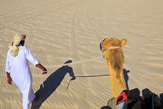 Desert Safari with Camel Ride, Sand Boarding & Inland Sea Tour in Doha - Sandboarding on Qatar Sand: What You’re Actually Getting
