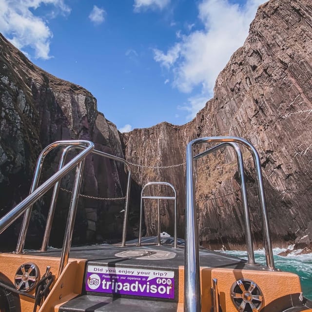 Dingle: Sea Safari by RIB Boat - Key highlights you’ll care about
