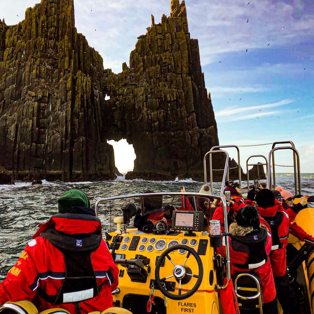 Dingle: Sea Safari by RIB Boat - Wildlife spotting: seals, dolphins, puffins, and the honest odds