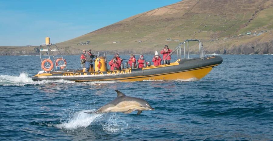 Dingle: Sea Safari by RIB Boat - The boat and included gear: you’ll stay warm if you dress right