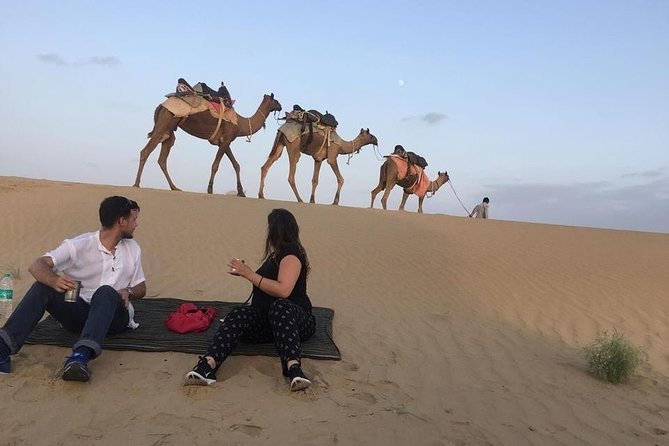 Dinner on the Dunes & Camel Safari - Key highlights worth your attention
