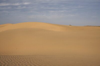 Dinner on the Dunes & Camel Safari - How the timing works (and why it matters)