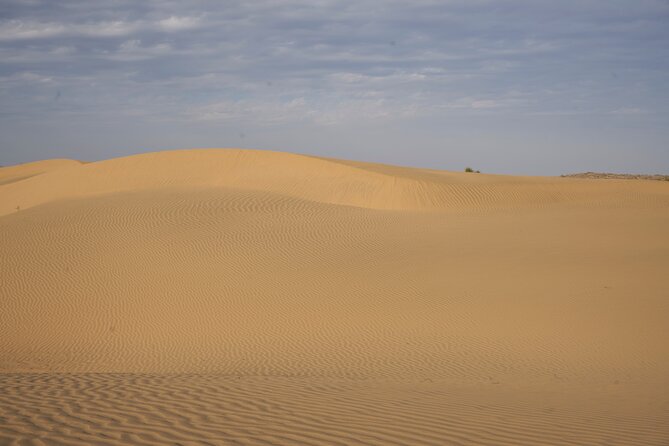 Dinner on the Dunes & Camel Safari - How the timing works (and why it matters)