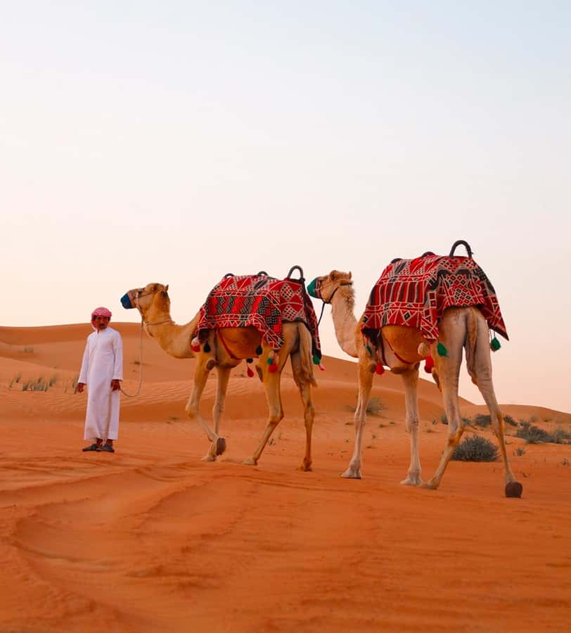 Doha: ATV/Desert Safari with Activities and Inland Sea Stop - Inland Sea stop: the desert-meets-water moment
