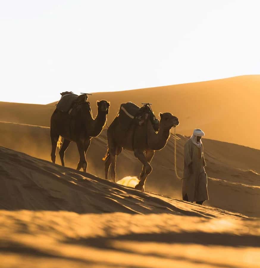Doha: ATV/Desert Safari with Activities and Inland Sea Stop - What to pack (and what to leave behind) for sand days