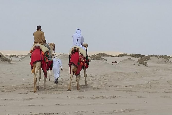 Doha Combo City And Half Day Desert Safari Tour No Hidden cost - Doha Corniche: instant orientation and easy photos