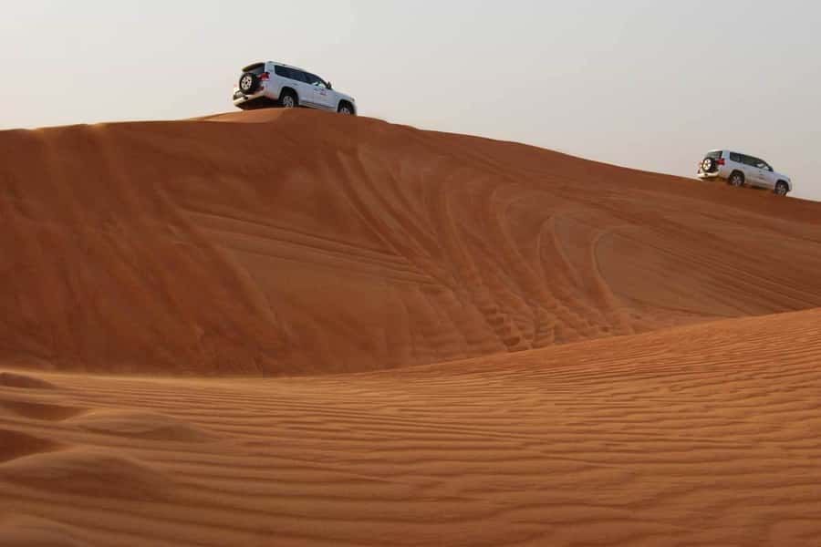 Doha: Combo City Tour, Souq Waqif & 4WD Desert Safari - Dune bashing plus sandboarding: adrenaline with rules you should respect