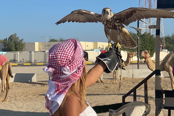 Doha Desert Safari Camel Ride Dune Bashing and ATV Bike - Camel ride: the pause that makes the desert feel real