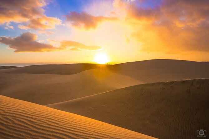 Doha Desert Safari Dune Bashing Camel Ride Sandboarding - Sunrise vs Sunset: the real reason to pick this safari