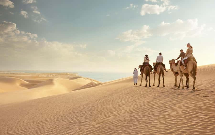 Doha: Desert Safari, Dune Bashing, Inland Sea With Transfers - Key highlights worth your attention