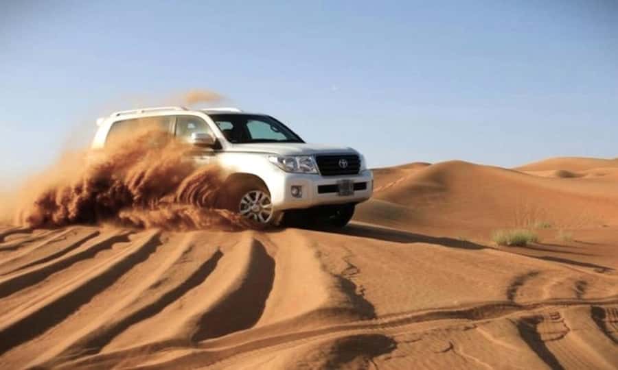Doha: Desert Safari, Dune Bashing, Sandboarding, Camel Ride - Key Things You’ll Notice on This Doha Desert Safari