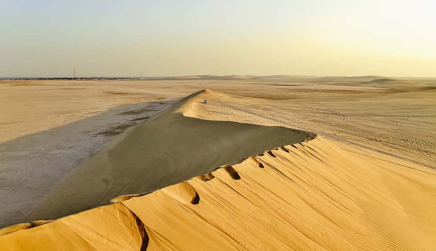 Doha: Desert Safari Dune Bashing, Sandboarding, & Camel Ride - Camel ride and local tea: the short cultural pause that feels real