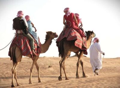 Doha: Desert Safari, Dune Bashing, Sandboarding, Camel Ride - Bedouin Camp Break: Tea, Animals, and the Camel Ride Choice