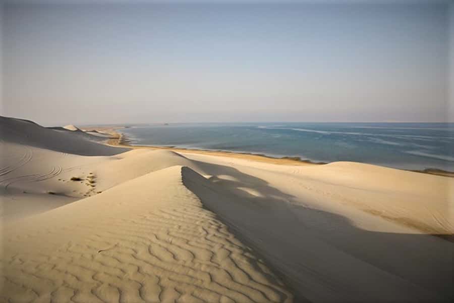 Doha: Desert Safari Dune Bashing, Sandboarding, & Camel Ride - Dune bashing in a 4x4: adrenaline, safety cues, and how to ride it