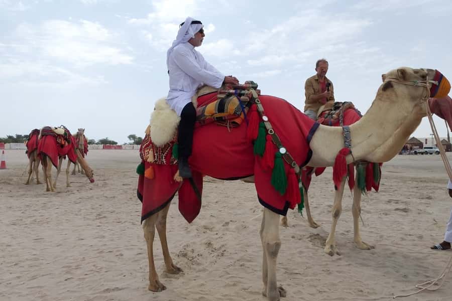 Doha: Desert Safari Dune Bashing, Sandboarding, & Camel Ride - Price and value: why $30 can feel like a lot (in a good way)