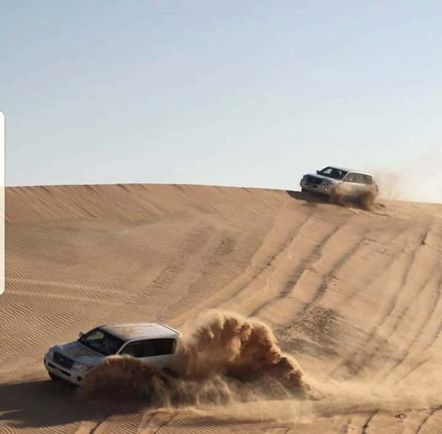 Doha: Desert Safari Dune Bashing, Sandboarding, & Camel Ride - Who should book, and who should skip this dune adventure