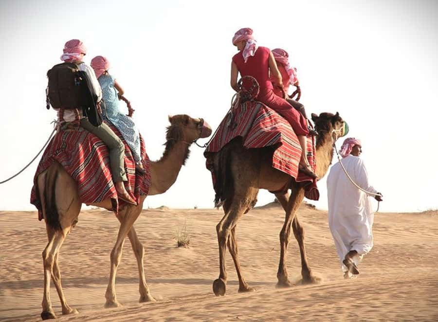 Doha: Desert Safari, Dune Bashing, Sandboarding, Camel Ride - Bedouin Camp Break: Tea, Animals, and the Camel Ride Choice