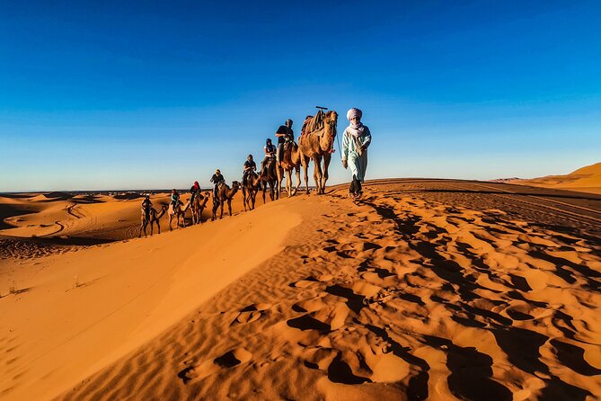 Doha Desert Safari Dune bashing,Sandboarding,CamelRide,Inland Sea - From pickup to dunes: transportation that keeps you comfortable