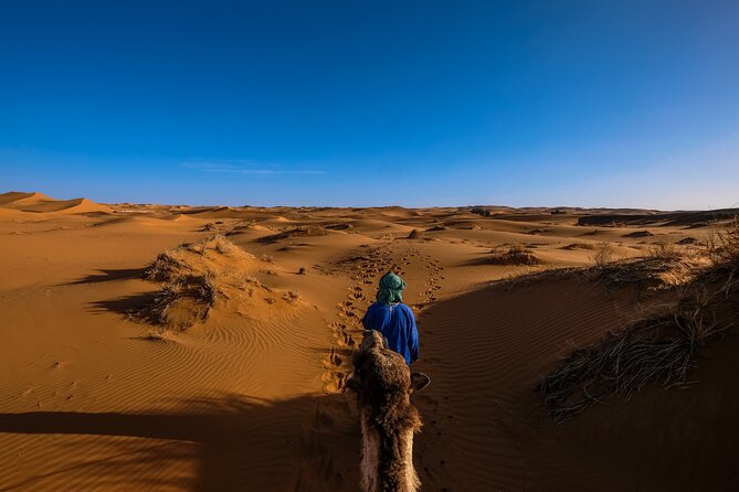 Doha Desert Safari Dune bashing,Sandboarding,CamelRide,Inland Sea - Inland Sea drive near the Saudi border: the quiet wow moment