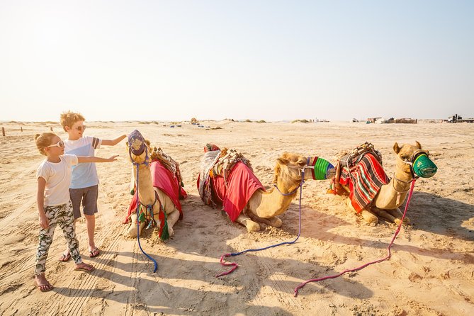 Doha Desert Safari: Dunebashing, Camel, Sandboarding & Inland Sea - Price and What You Actually Get for $65.70
