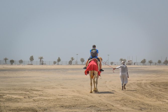 Doha Desert Safari: Dunebashing, Camel, Sandboarding & Inland Sea - The Drive Out: 4x4 Comfort, Tyre Pressure, and Desert Views