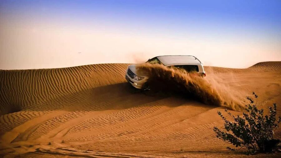 Doha: Desert Safari, Sandboarding, Camel Ride and Inland Sea - Inland Sea dune bashing: the 4x4 skill test