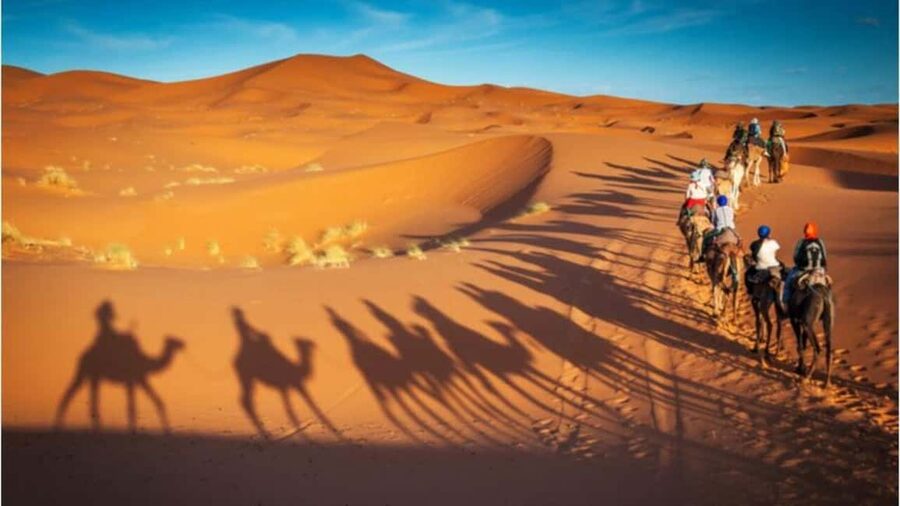 Doha: Desert Safari, Sandboarding, Camel Ride and Inland Sea - Sandboarding and that quick photo-stop window