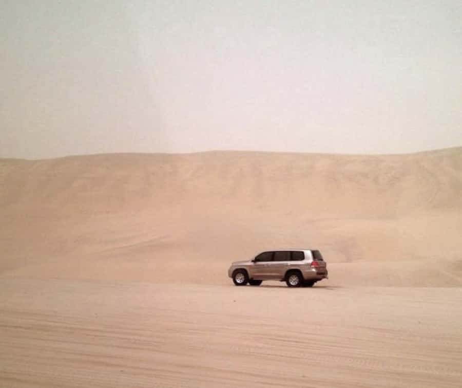 Doha Desert Safari: Sandboarding, Camel Ride & Swimming Fun - Dune Bashing Meets Inland Sea Swimming in Just 4 Hours